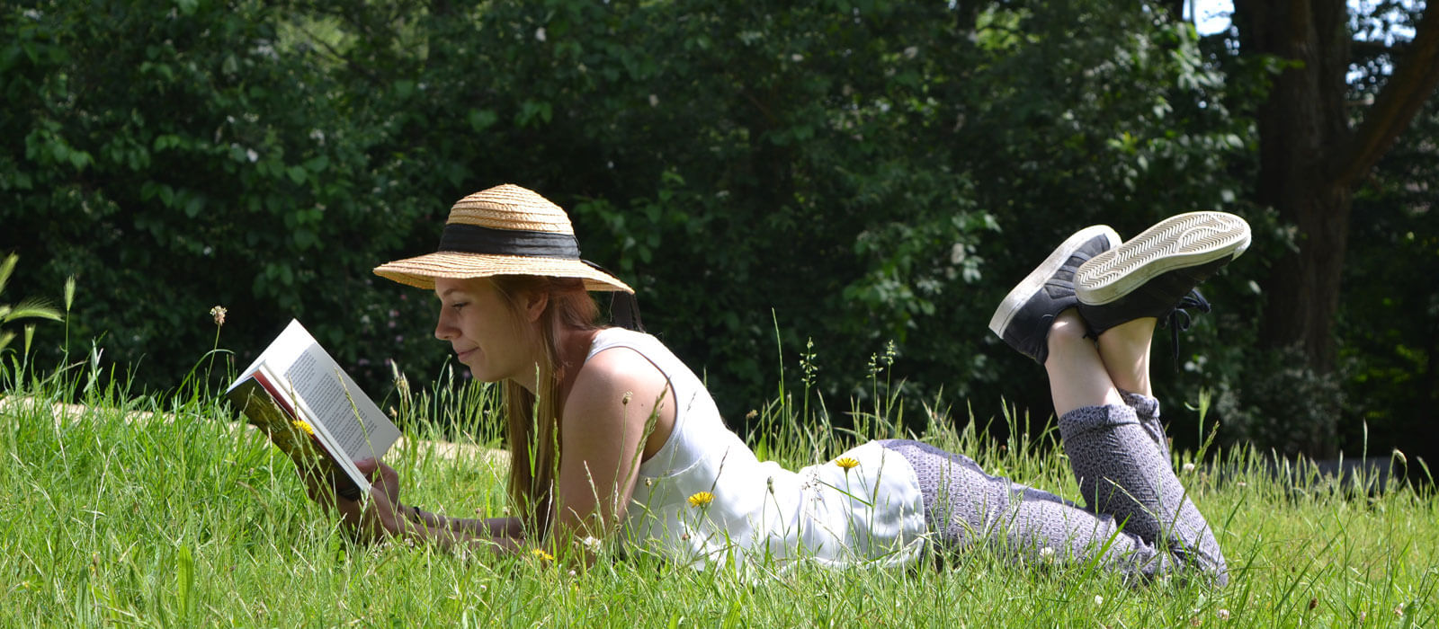 Get the latest bestsellers